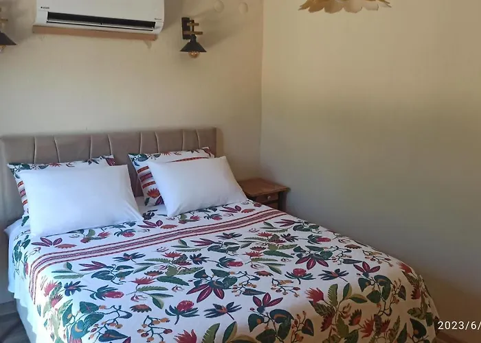 Semiramis אורחן