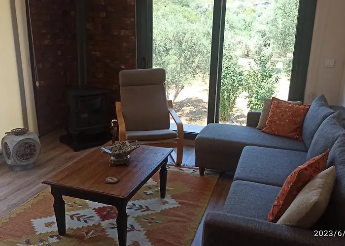 אורחן Semiramis *