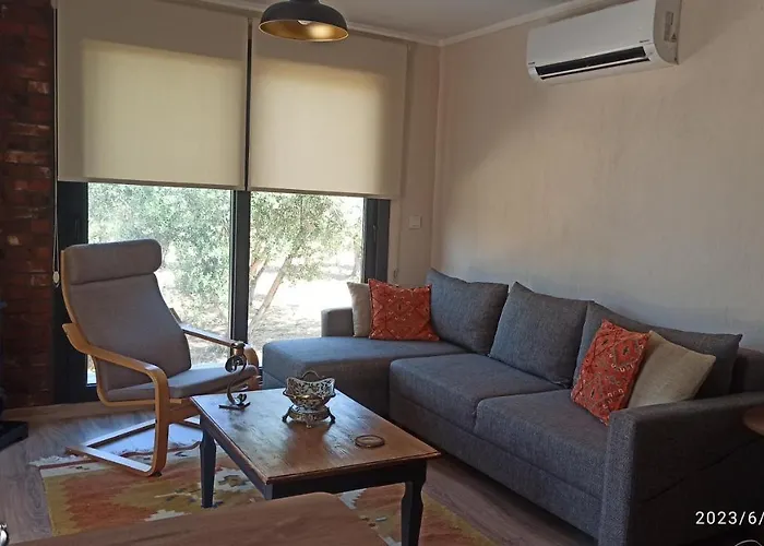 אורחן Semiramis אורלה